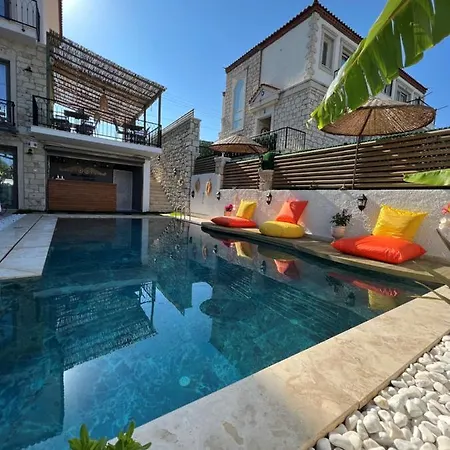 My Angels 阿拉恰特