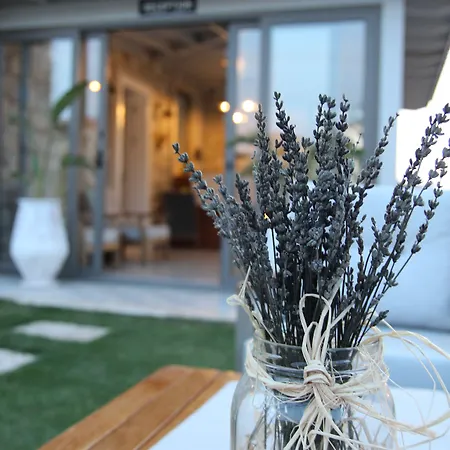 酒店 My Angels 阿拉恰特