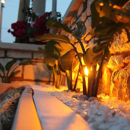 My Angels * 阿拉恰特